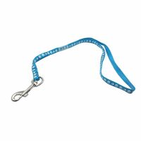Groom Professional Cyan Blue Dog Grooming Loop Restraint 45cm