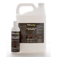 Petway Black Shampoo