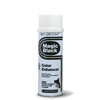 BioGroom Magic Black