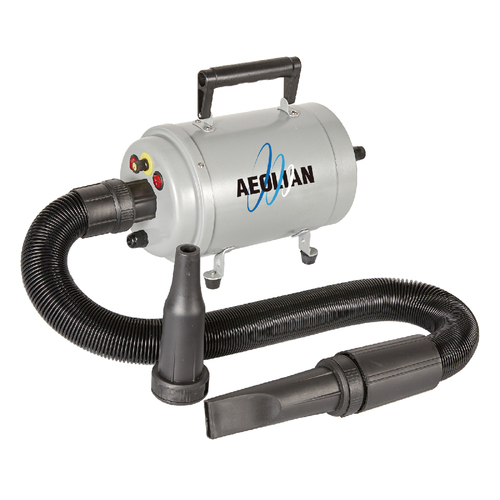 Aeolus Aeolian Blaster / Dryer with Heat