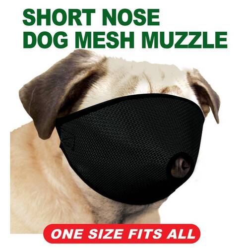 Proguard Snub-Nosed Mesh Muzzle
