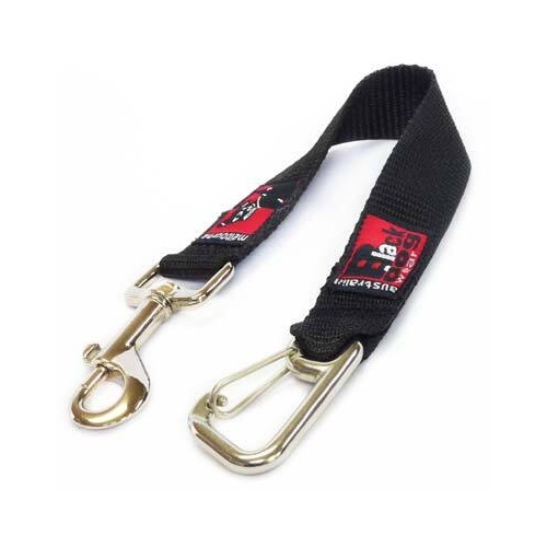 BDW Hydrobath Strap with Caribiner / Snaps