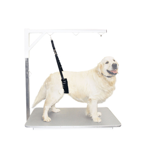 Show Tech Comfort Belly Band Strap For Dogs