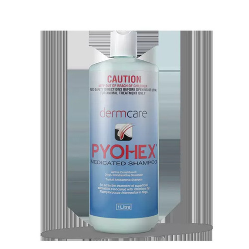 DermCare Pyohex Medicated Shampoo